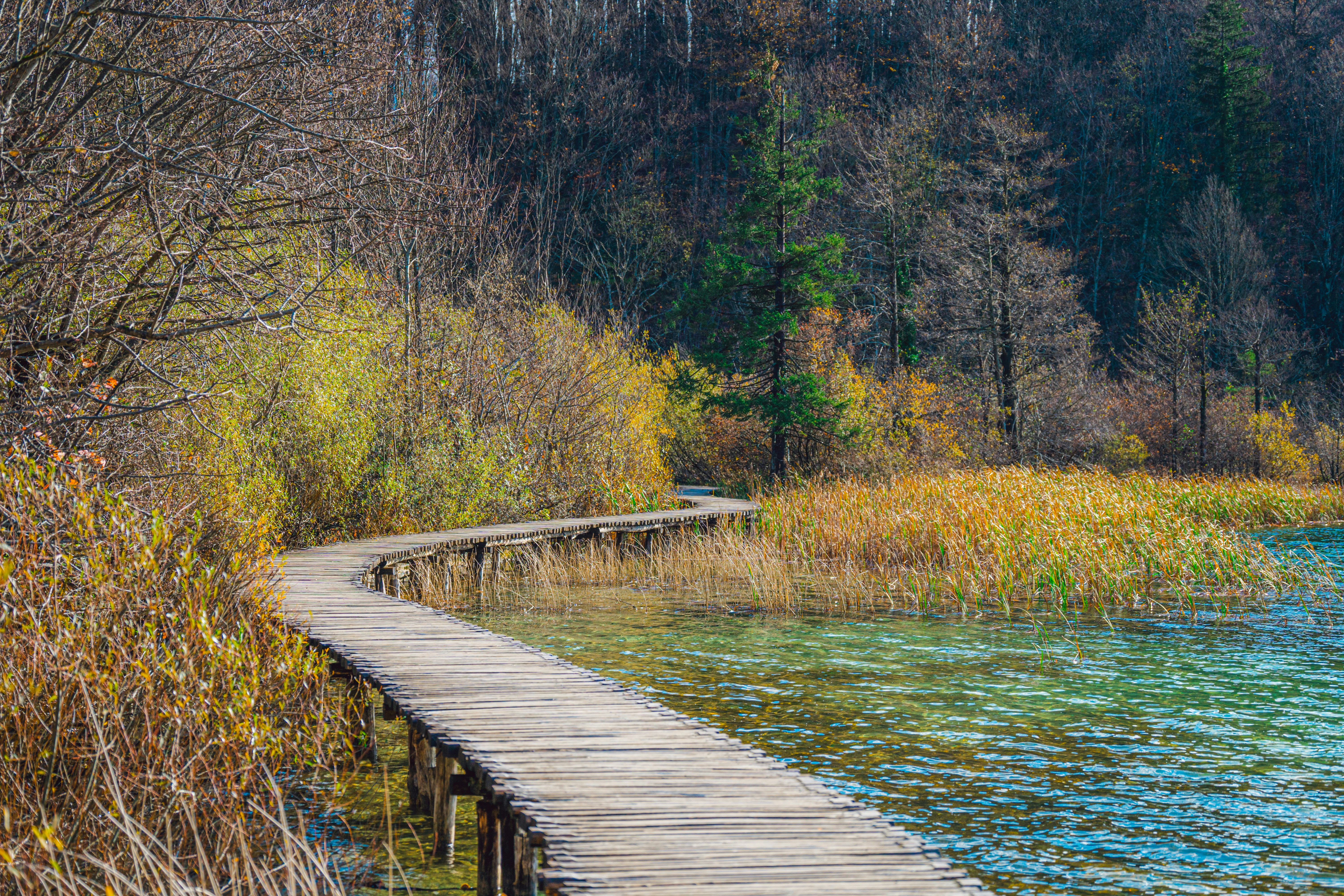 Photo by cioni_mattia