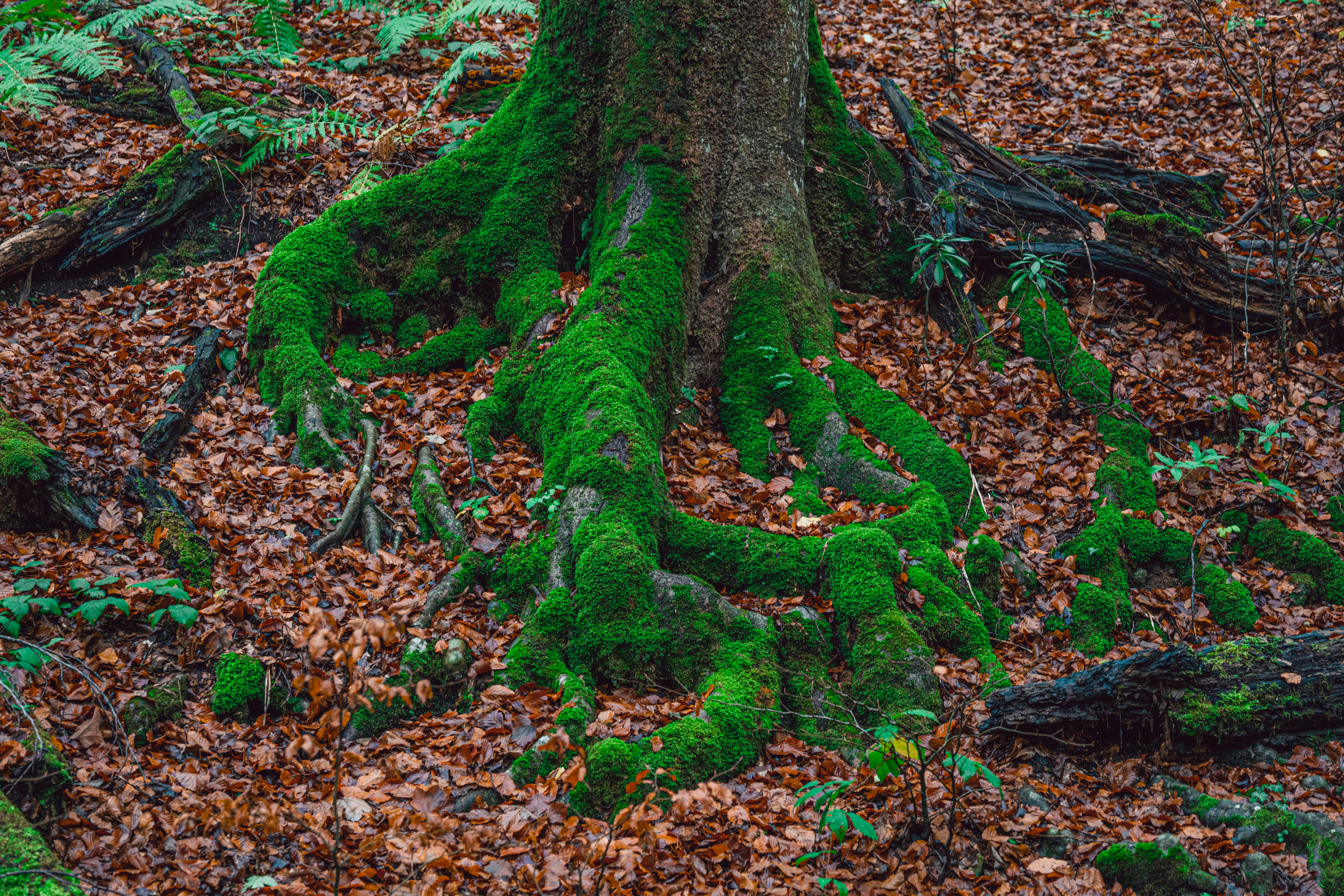 Photo by cioni_mattia