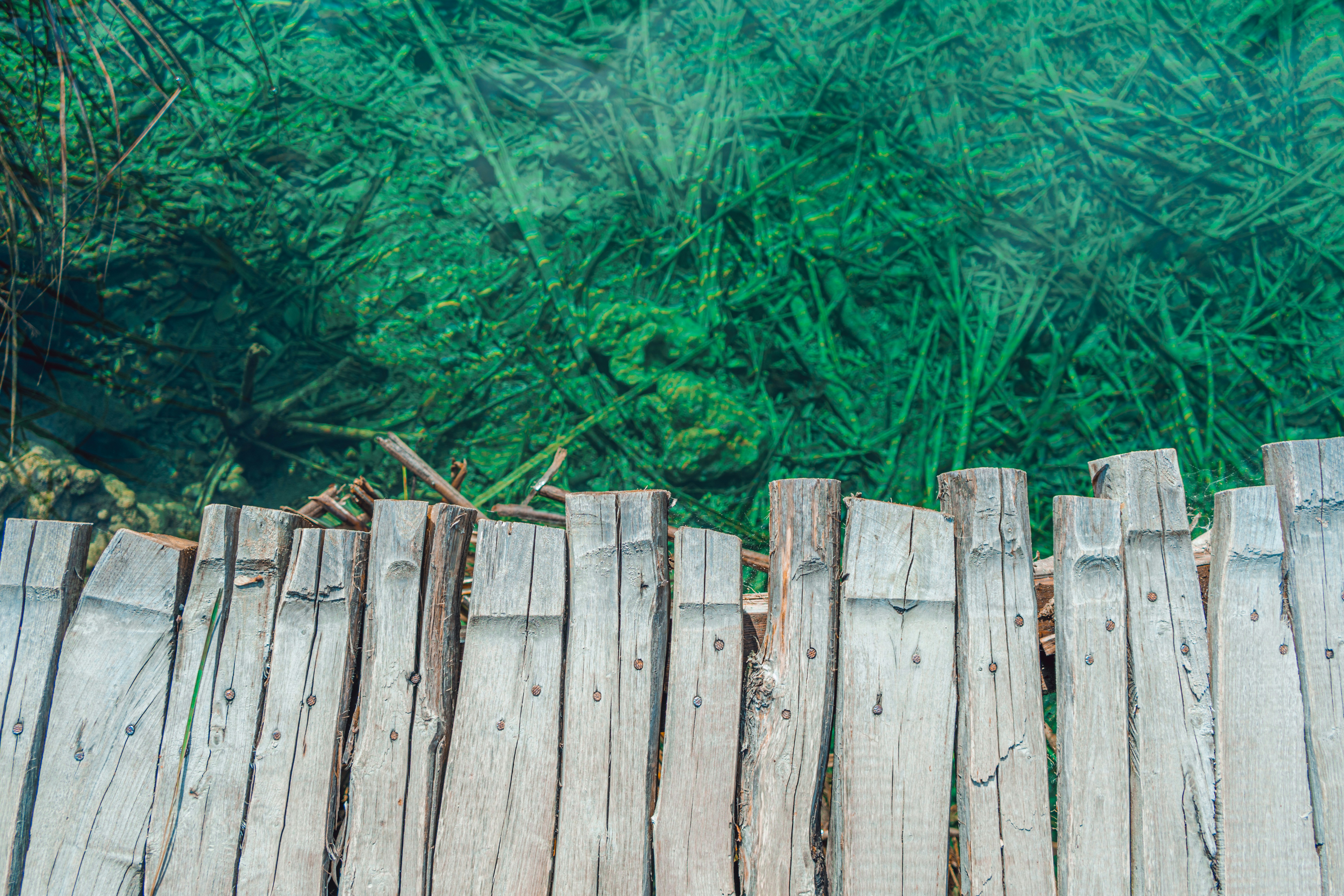 Photo by cioni_mattia