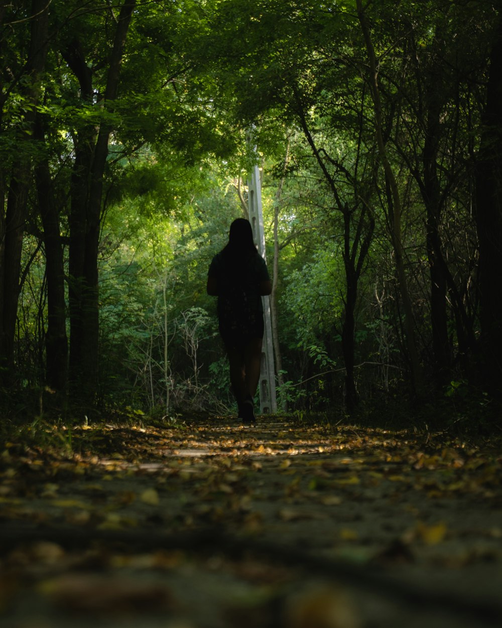 Una persona che cammina lungo un sentiero nel bosco