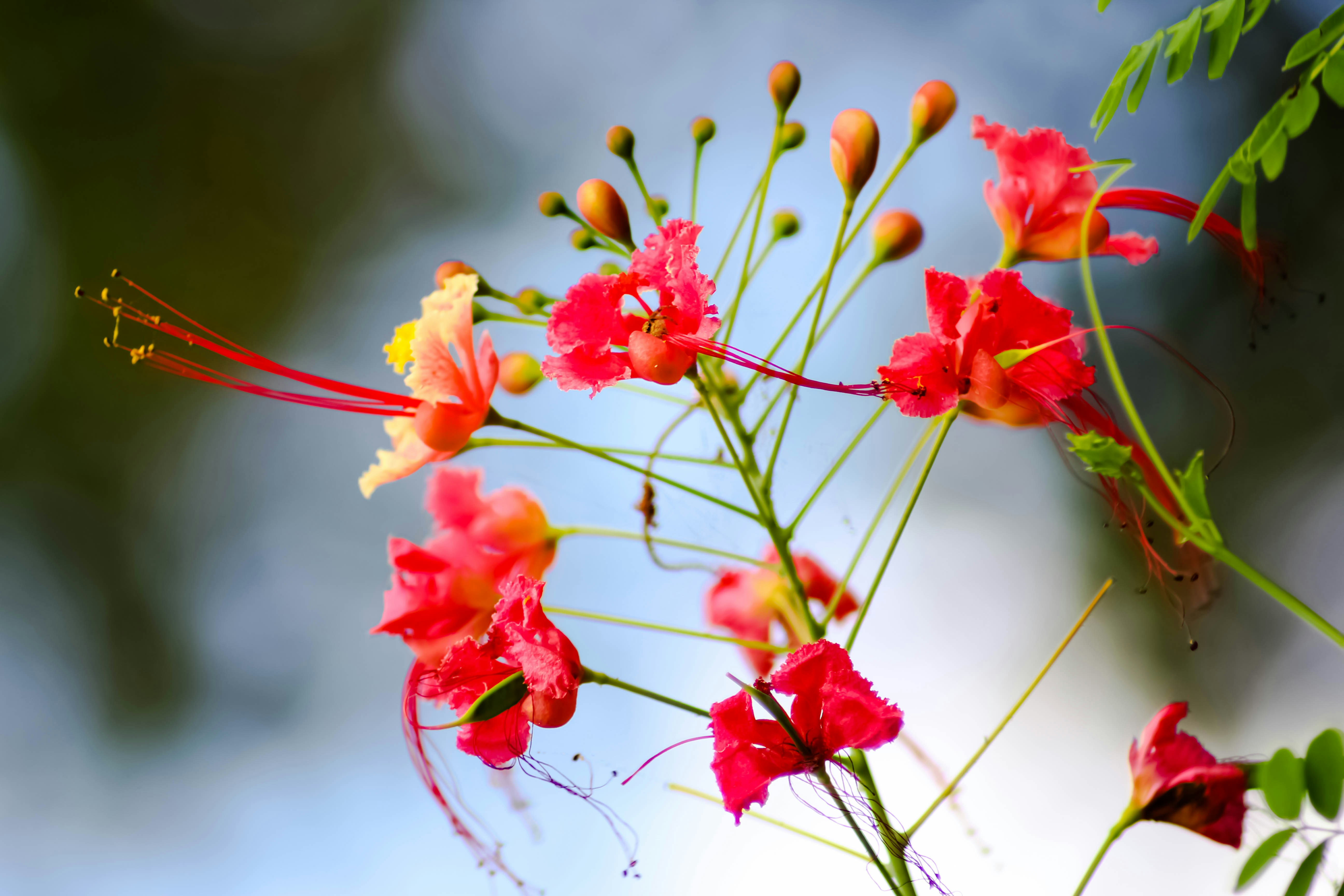 Photo by nithinpurple1