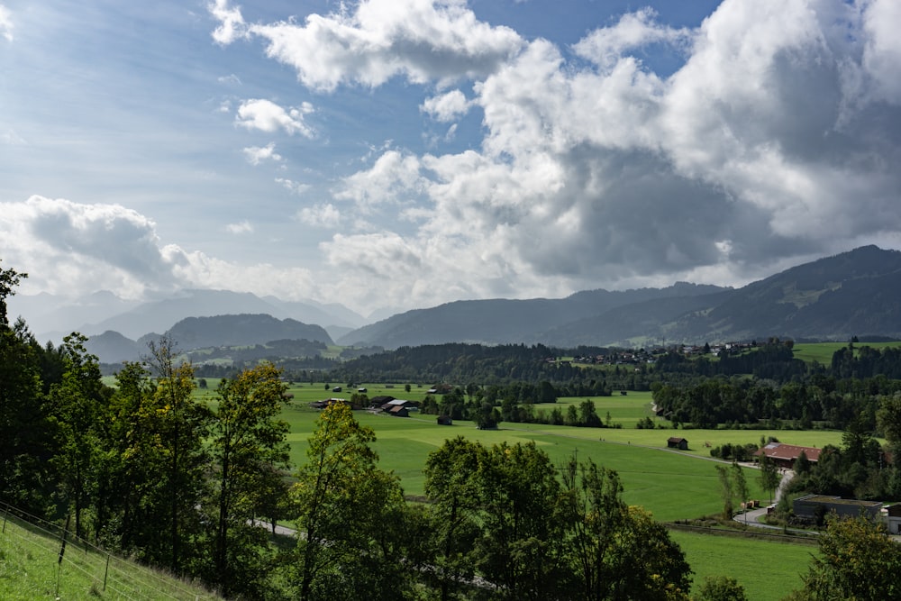 a lush green field with a mountain range in the background