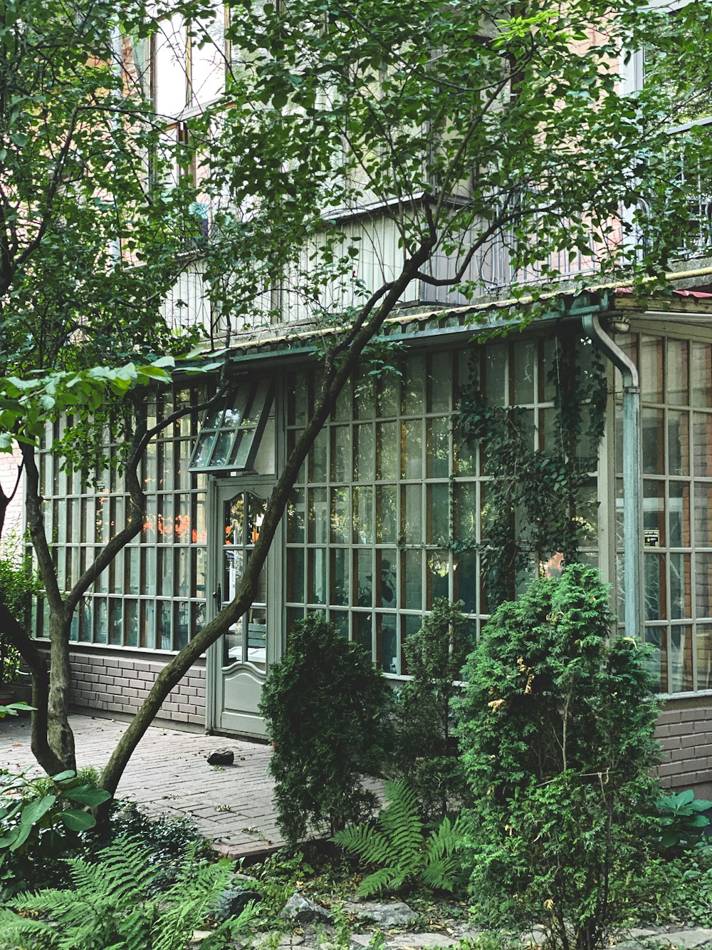 a building with a lot of windows surrounded by trees