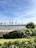 A scenic view featuring a waterfront with industrial cranes in the distance and a large cargo ship labeled MSC on the water. In the foreground, lush greenery and blooming flowers provide a contrast to the industrial backdrop. People are seen walking along a pathway beside the water.