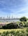 A scenic view featuring a waterfront with industrial cranes in the distance and a large cargo ship labeled MSC on the water. In the foreground, lush greenery and blooming flowers provide a contrast to the industrial backdrop. People are seen walking along a pathway beside the water.