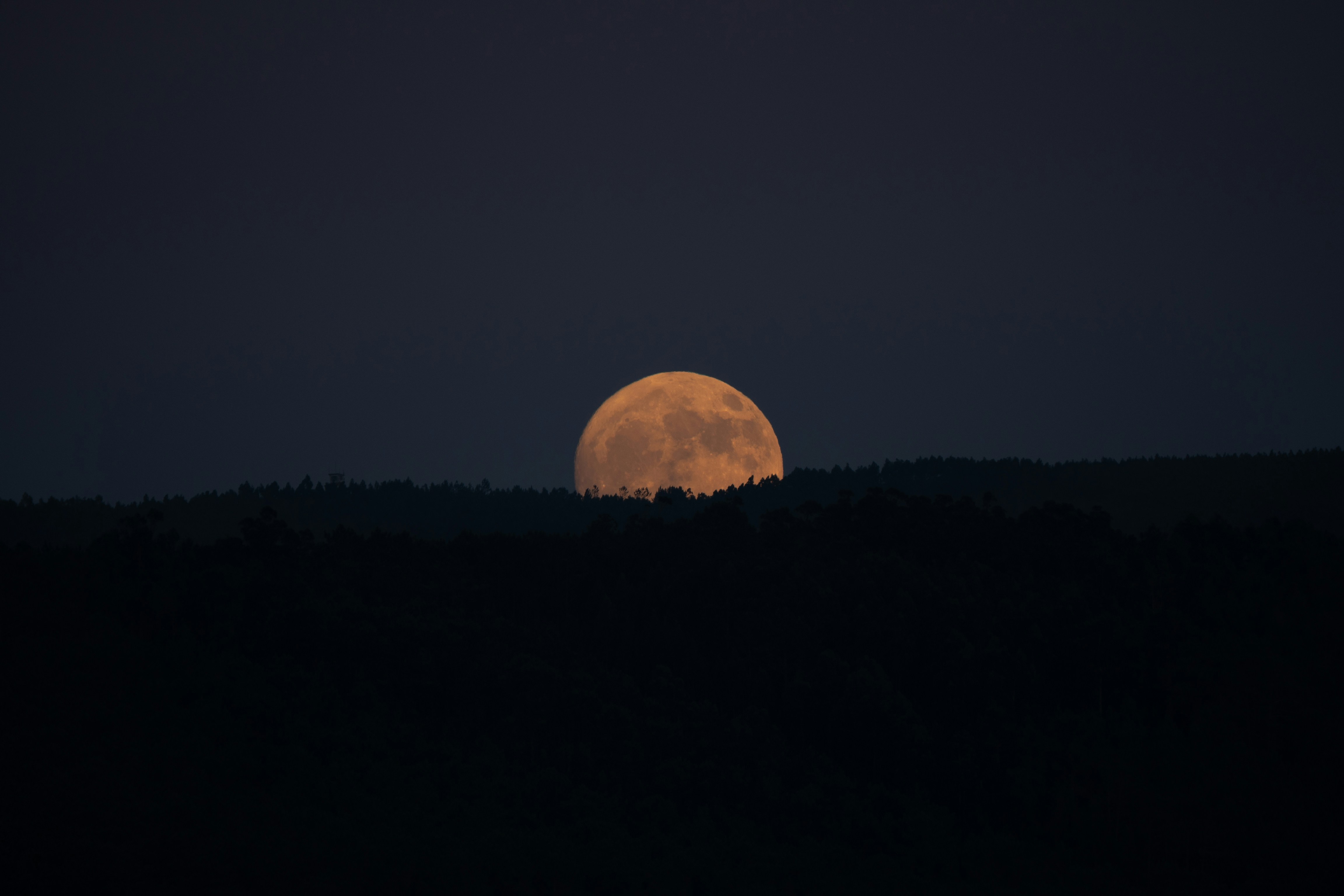 a full moon rising over a hill with trees in the foreground