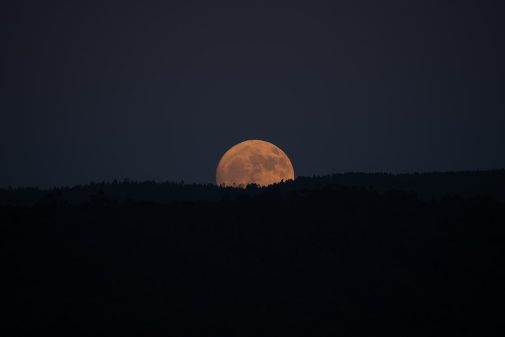 a full moon rising over a hill with trees in the foreground