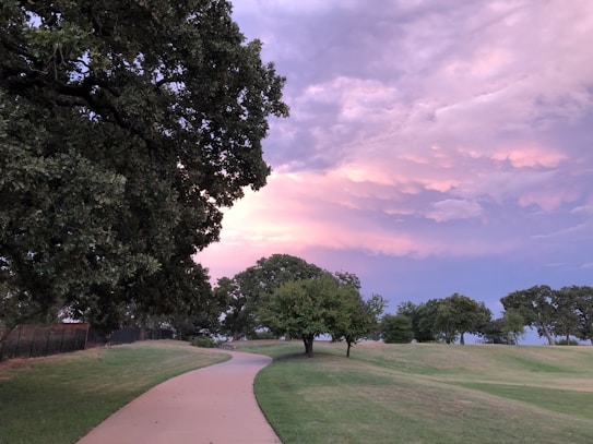 A peaceful walkway meanders through a park filled with lush green grass and large trees. The sky above is painted with a soft gradient of pink, purple, and blue, suggesting a time close to sunset or sunrise. The atmosphere is calm and serene.