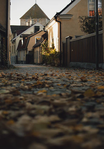 a street that has a bunch of leaves on the ground