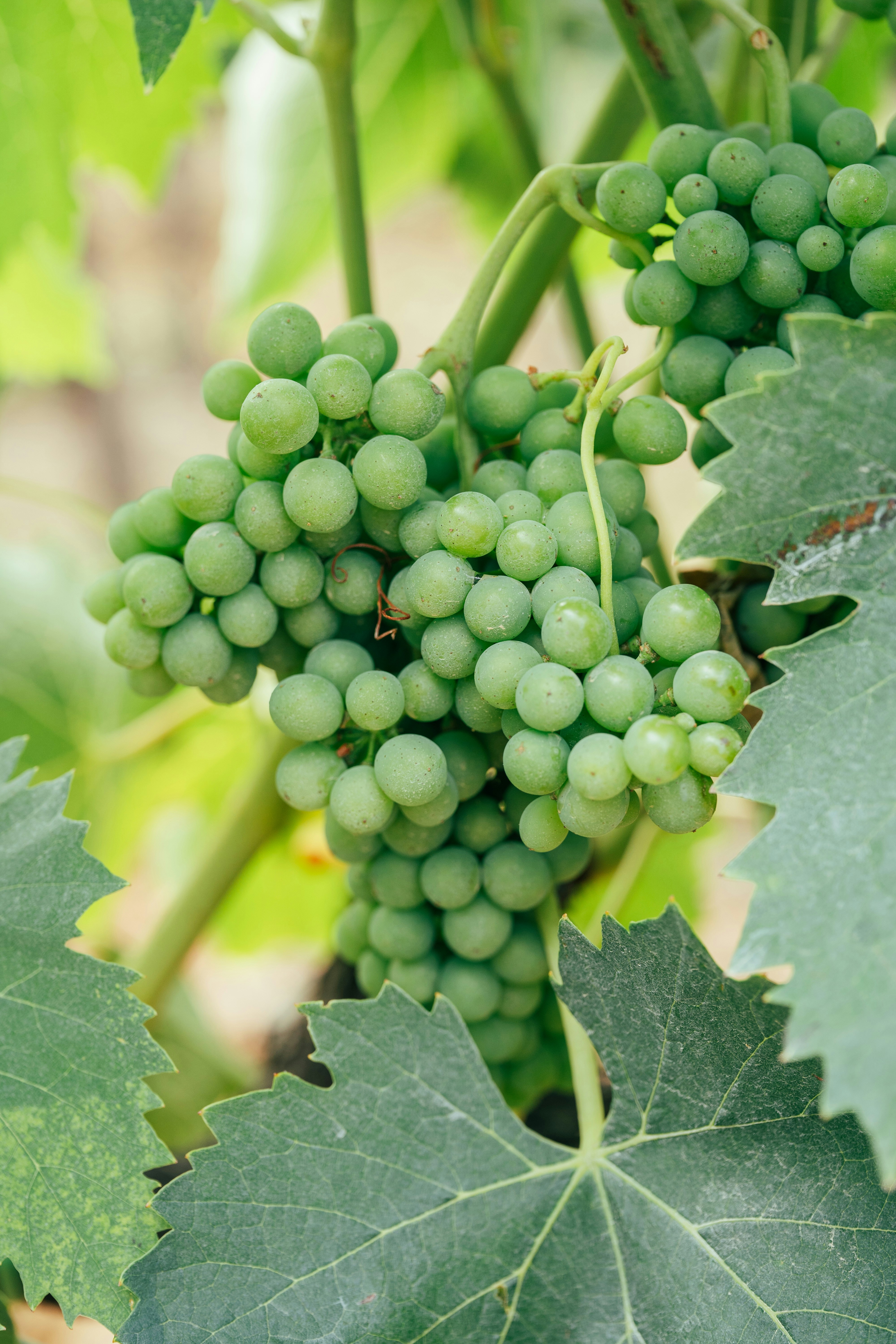 Photo by cioni_mattia