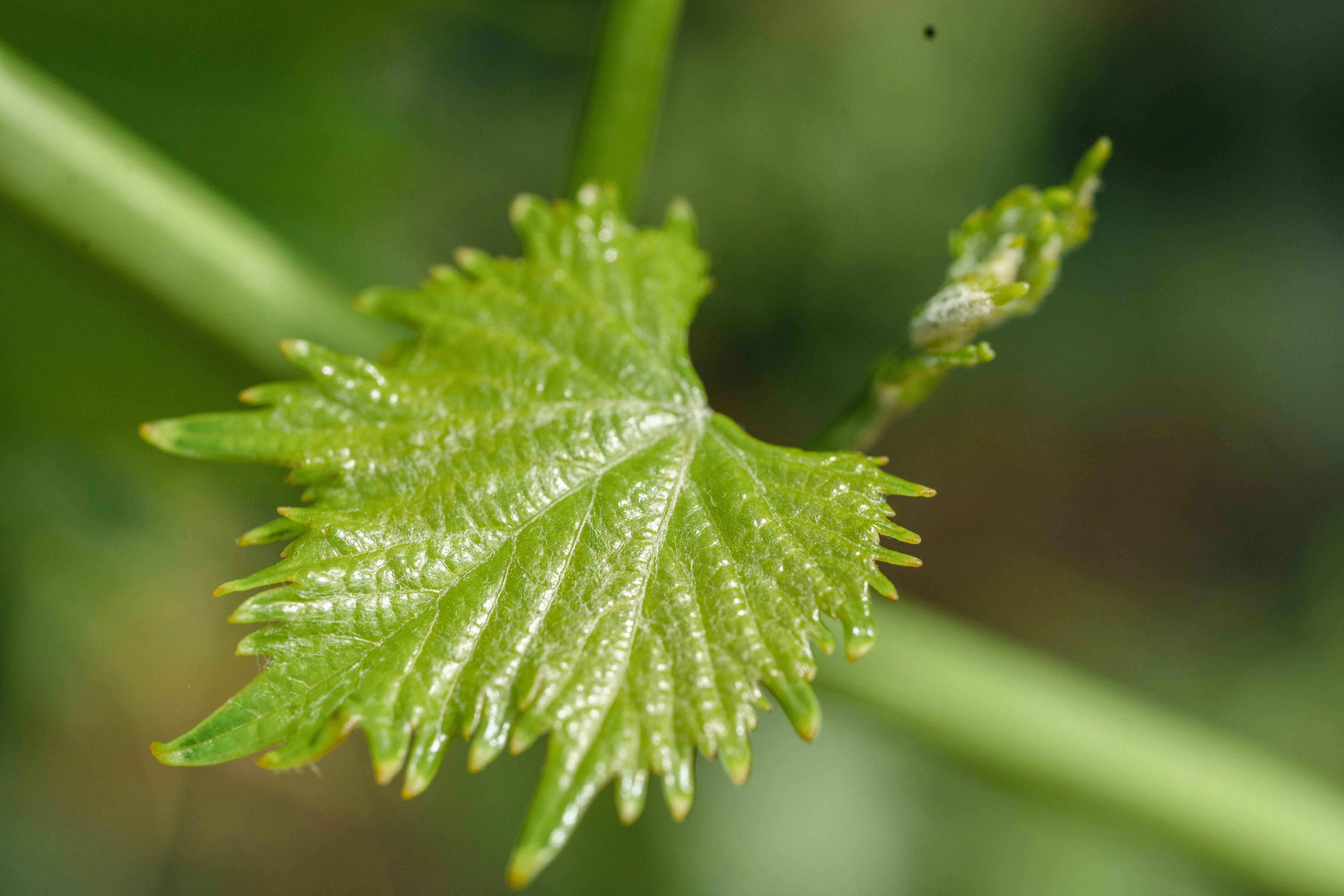 Photo by cioni_mattia