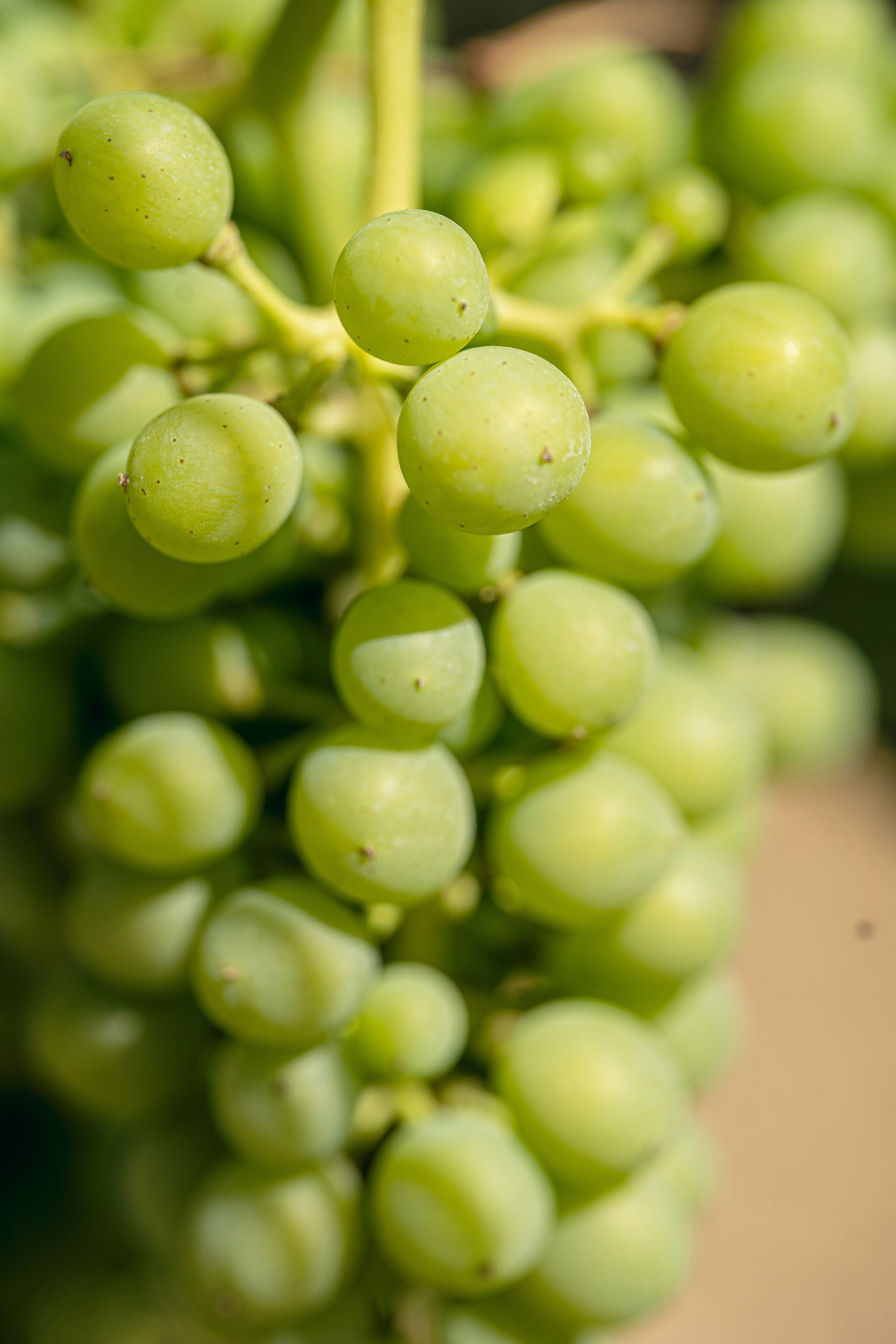 Photo by cioni_mattia