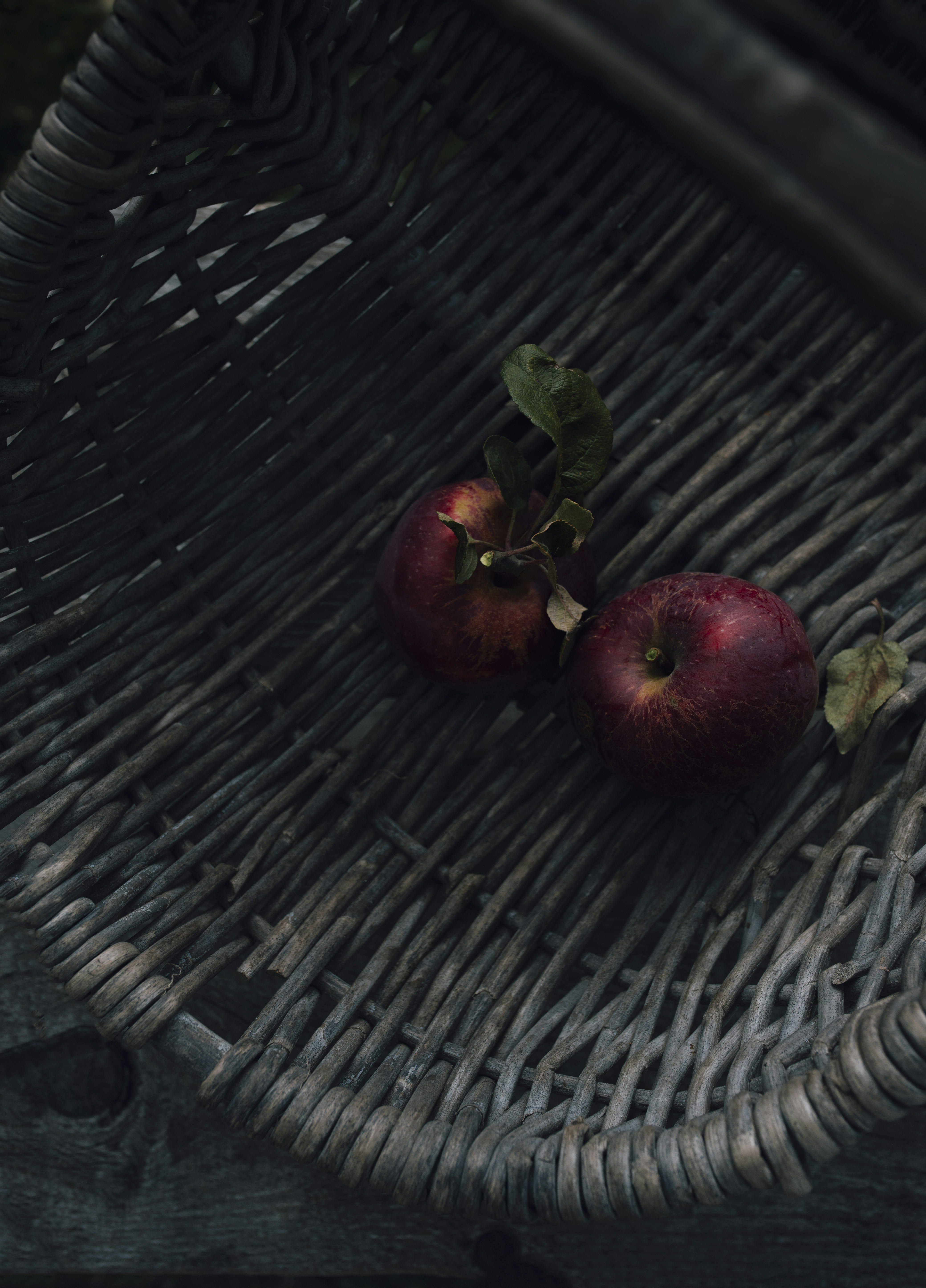Fresh Organic Apples