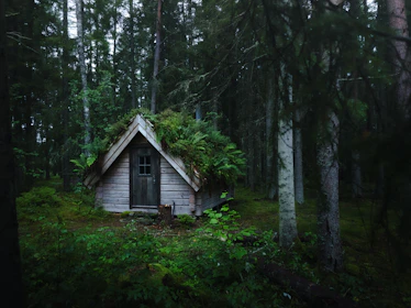 Cozy wooden cabin surrounded by lush green forest in Colombia.