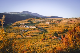 Sunset view over cozy cabins nestled among autumn foliage in Vistalba.
