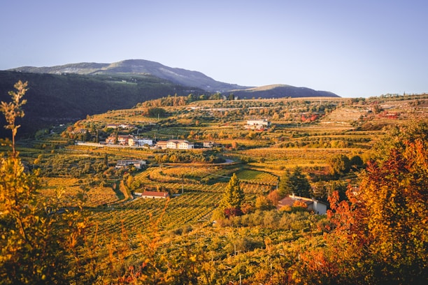 Sunset view over cozy cabins nestled among autumn foliage in Vistalba.