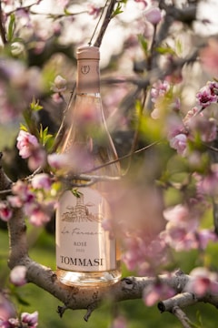 A bottle of rosé wine is nestled among the branches of a blossoming tree. The label on the wine bottle is visible, showcasing intricate details under soft, dappled sunlight. Delicate pink flowers and green leaves surround the bottle, creating a lush and vibrant scene.