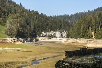 A dried riverbed surrounded by dense forest and rocky terrain. There are steep cliffs in the background with trees lining the top. The area appears to be part of a natural landscape, possibly experiencing drought or seasonal dry conditions.