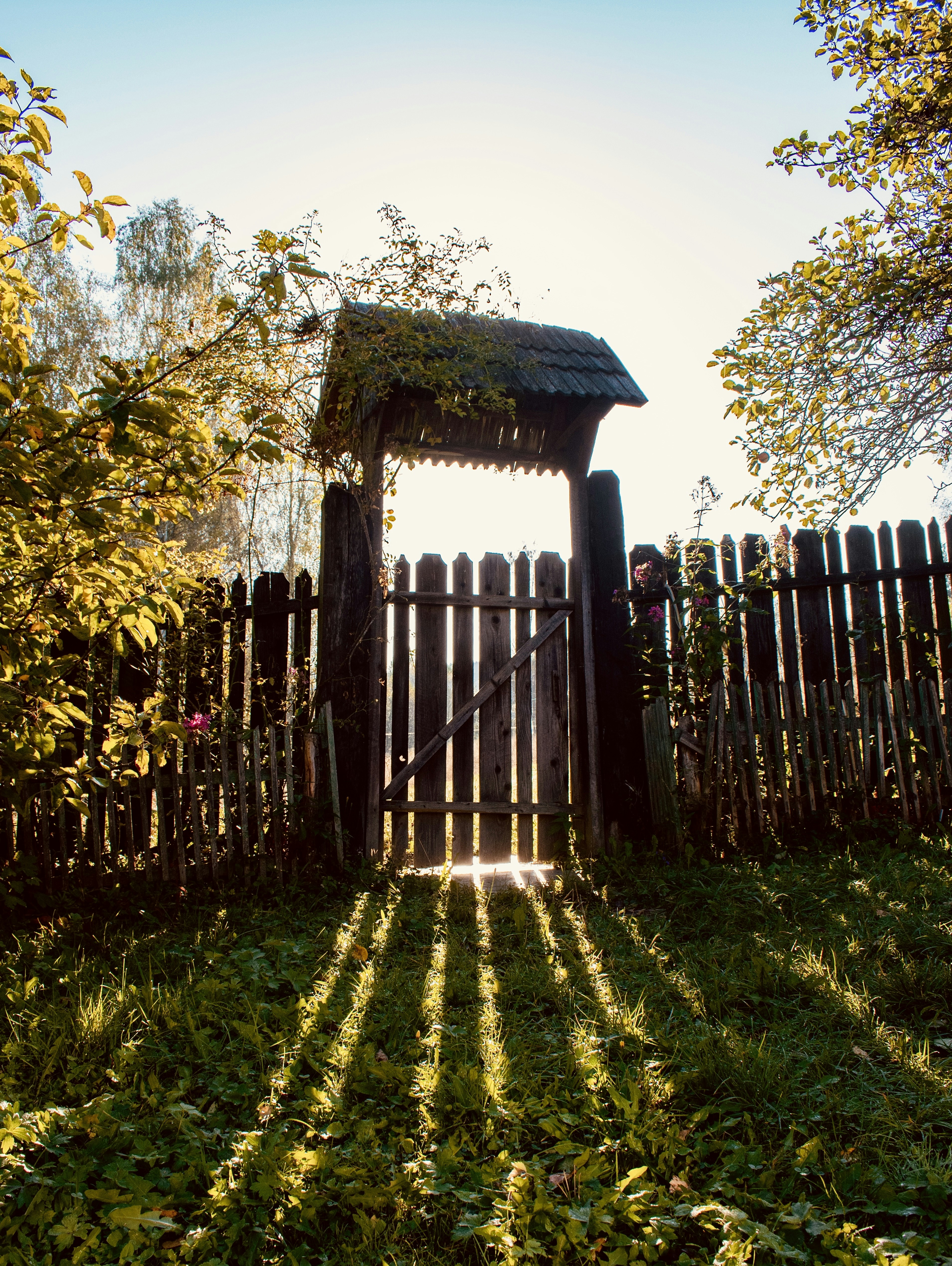 Photo by raluca_cotoara