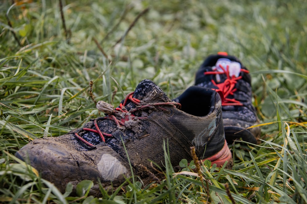 a pair of shoes that are in the grass