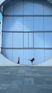 Two individuals dressed in black, positioned within a large circular cut-out of a modern architectural structure featuring light blue panels. One person is standing straight, while the other is performing a high kick. The ground is paved with gray tiles.