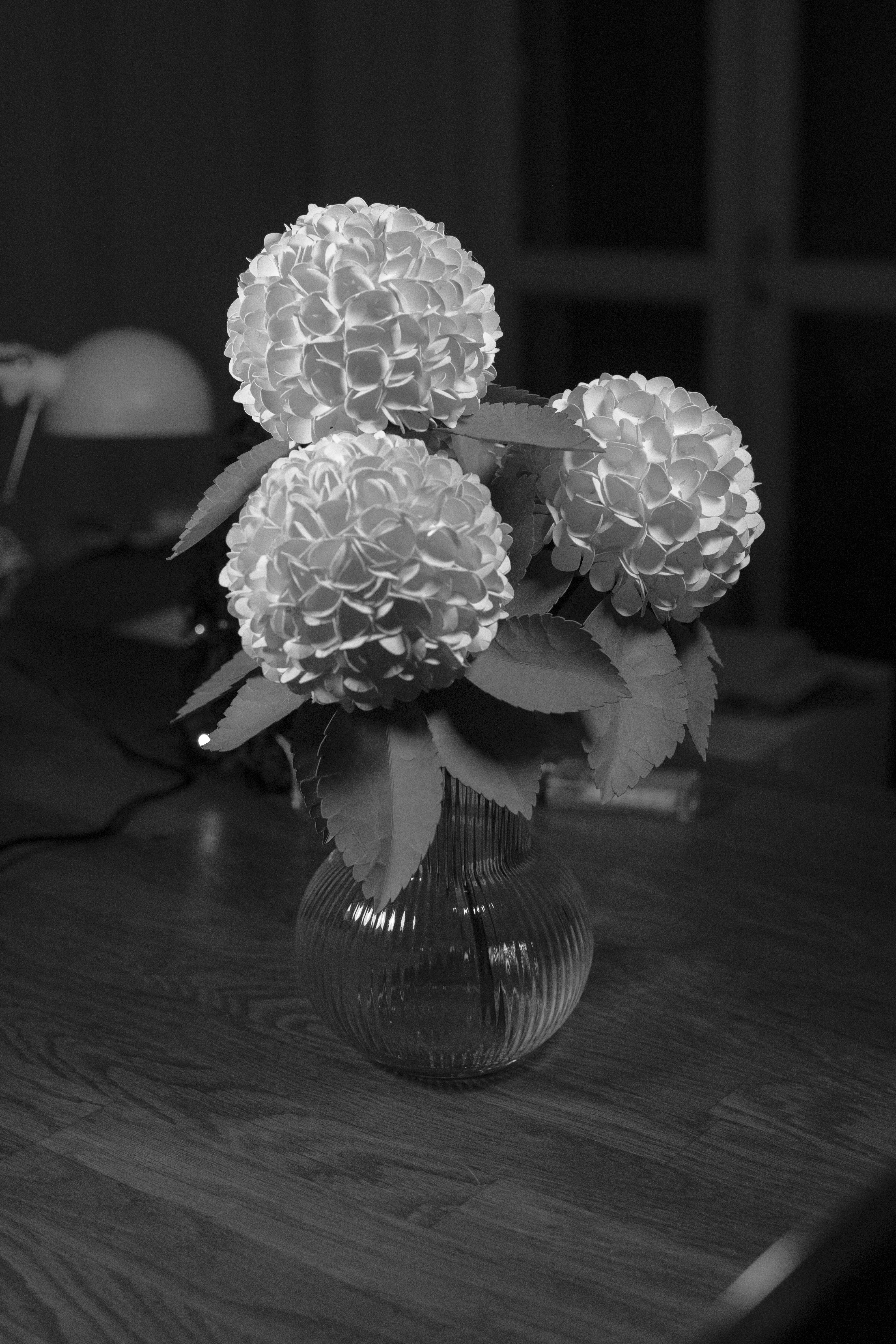 Una foto en blanco y negro