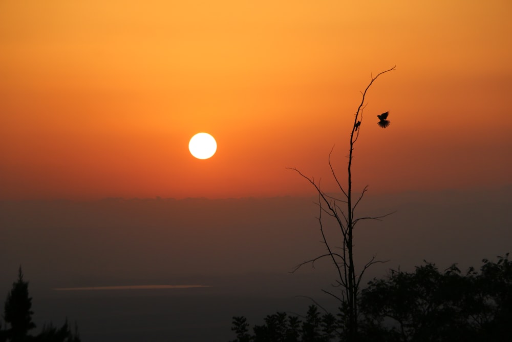 the sun is setting over the horizon of the horizon