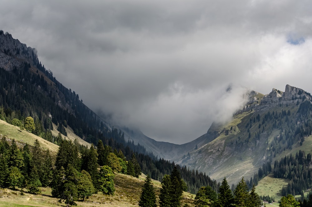 a mountain range with a few trees in the foreground