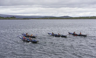Several small rowing boats are on the water, each with a team of rowers. The scene is set on a large body of water with distant hills and cloudy skies in the background. The boats appear to be participating in a race, with rowers actively paddling.