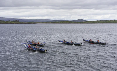 Several small rowing boats are on the water, each with a team of rowers. The scene is set on a large body of water with distant hills and cloudy skies in the background. The boats appear to be participating in a race, with rowers actively paddling.