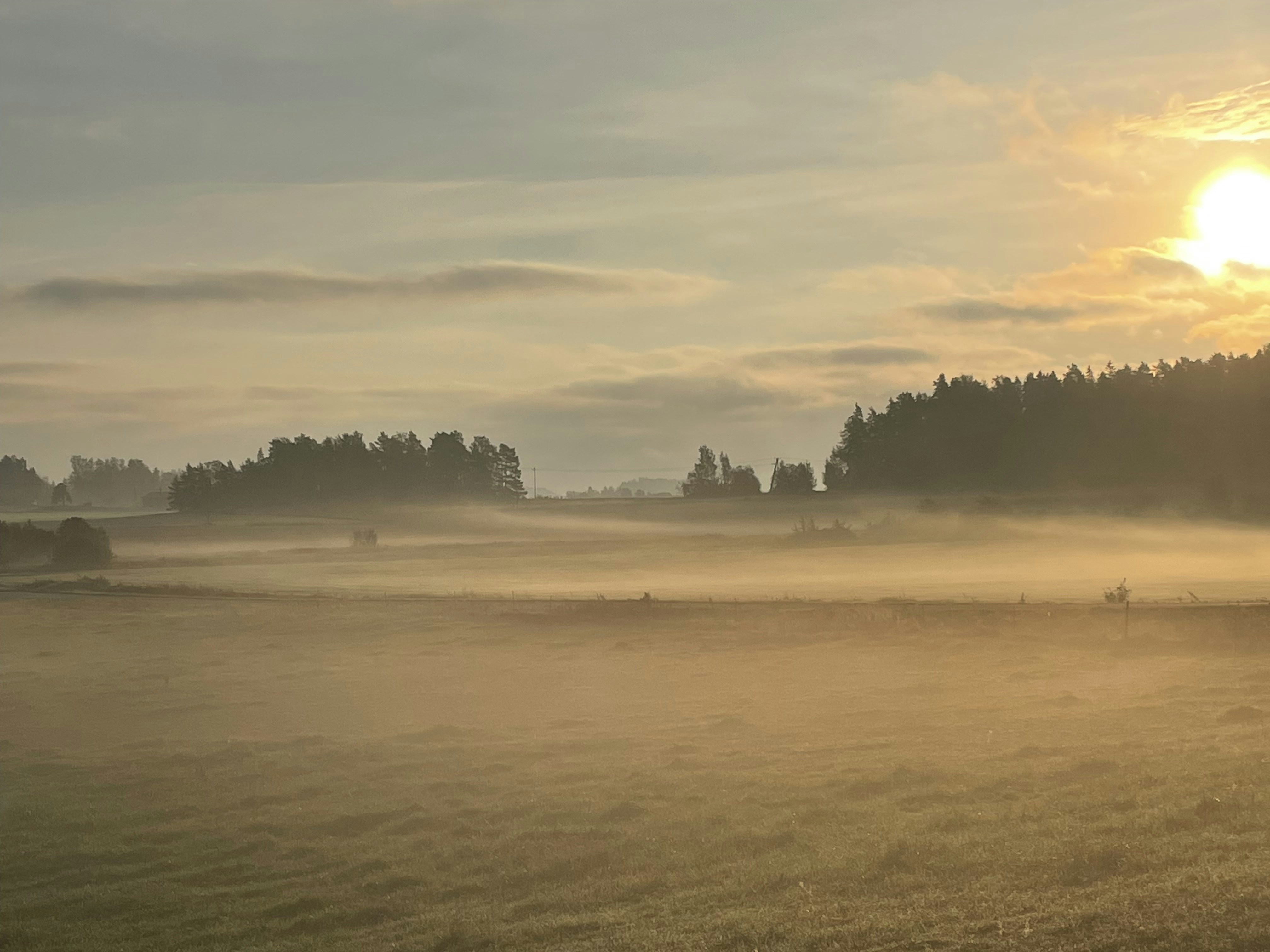 Photo by robertpecoraro