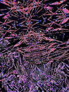 An abstract visualization of market geometry intersecting with AI neural networks.