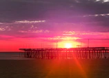 A warm sunset over a wooden pier surrounded by lush mangrove roots.