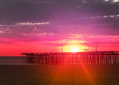 A warm sunset over a wooden pier surrounded by lush mangrove roots.