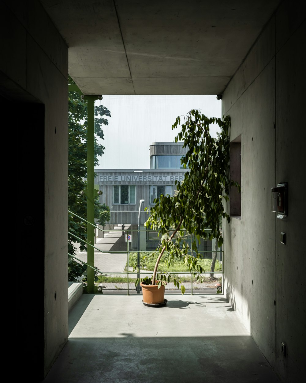 a plant in a pot on a concrete floor