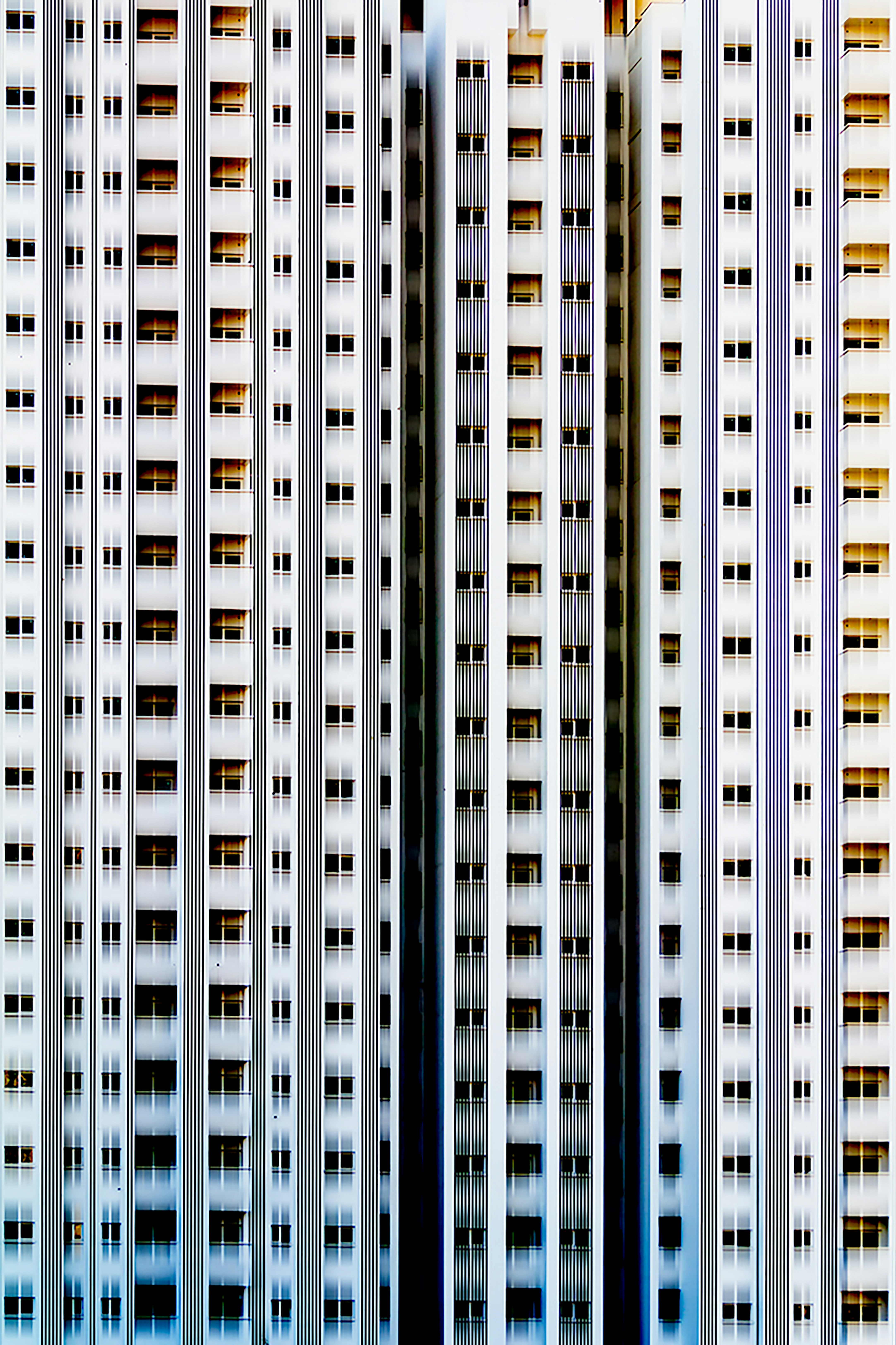 Photo by hamidhh5555