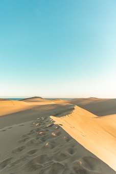 A vast expanse of golden sand dunes with smooth curves extends into the horizon under a clear blue sky. Footprints trail across the dunes, suggesting recent human activity in an otherwise untouched natural landscape. The gentle play of light and shadow on the sand enhances the texture and depth of the scene.