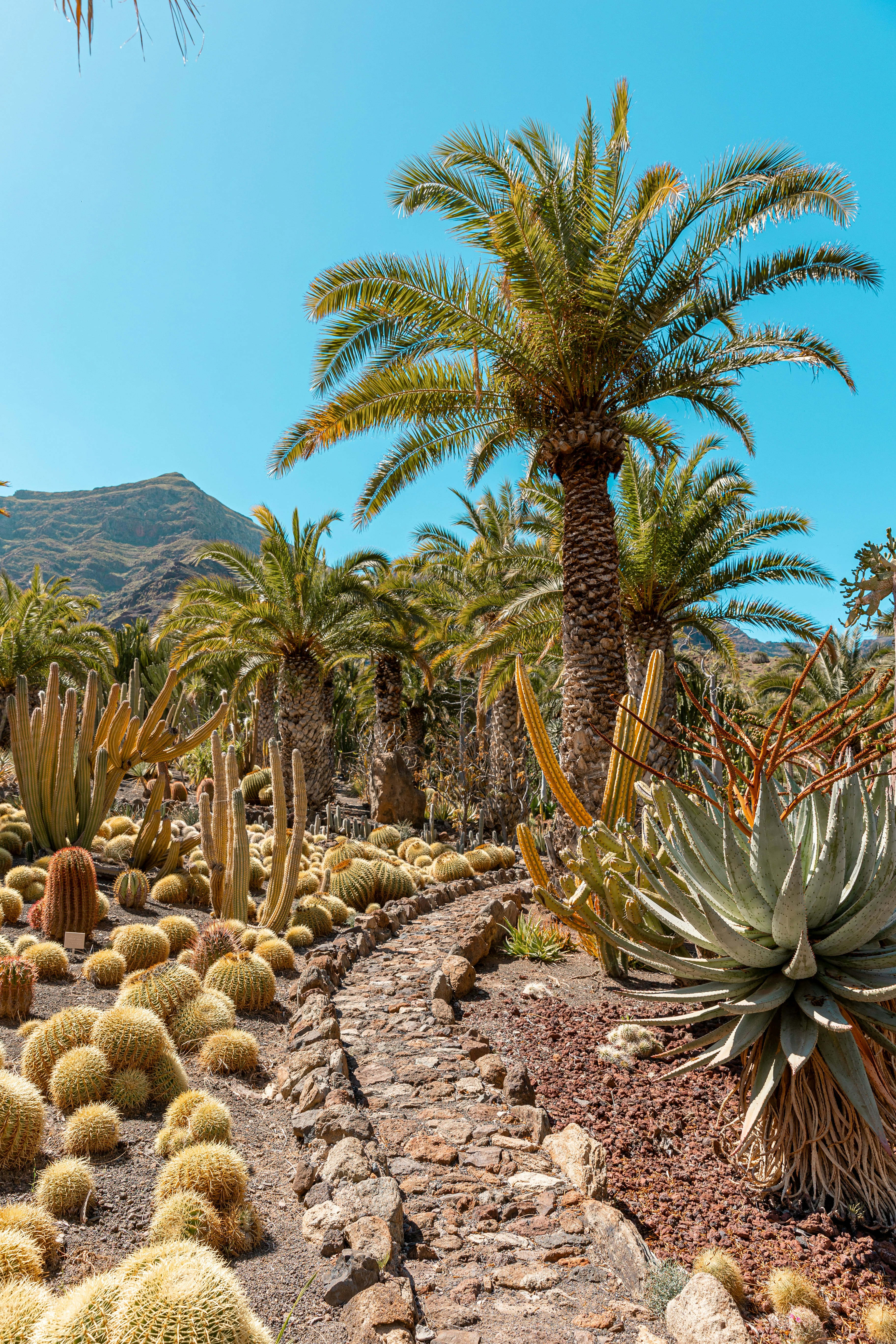 Photo by travelbymylens