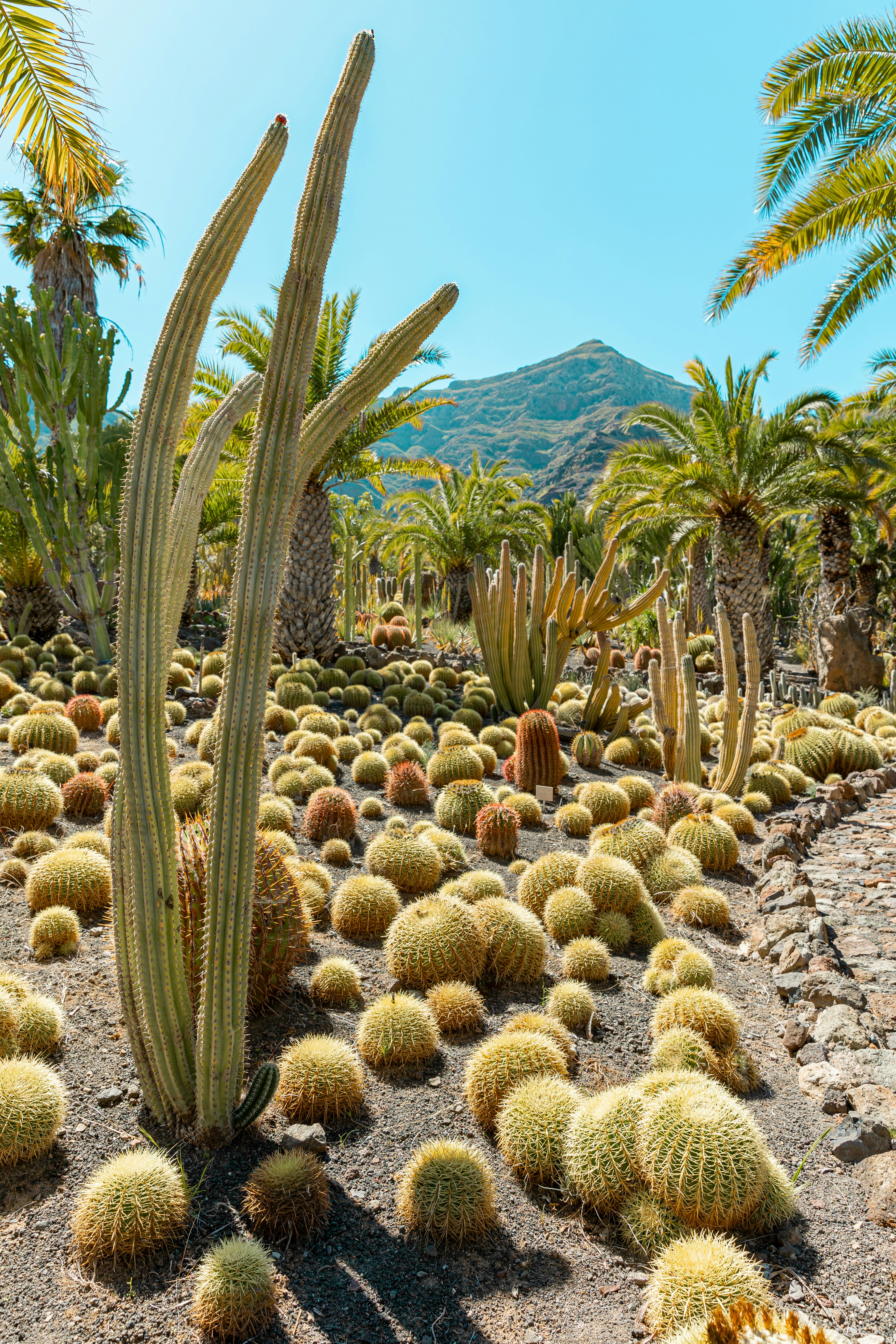 Photo by travelbymylens