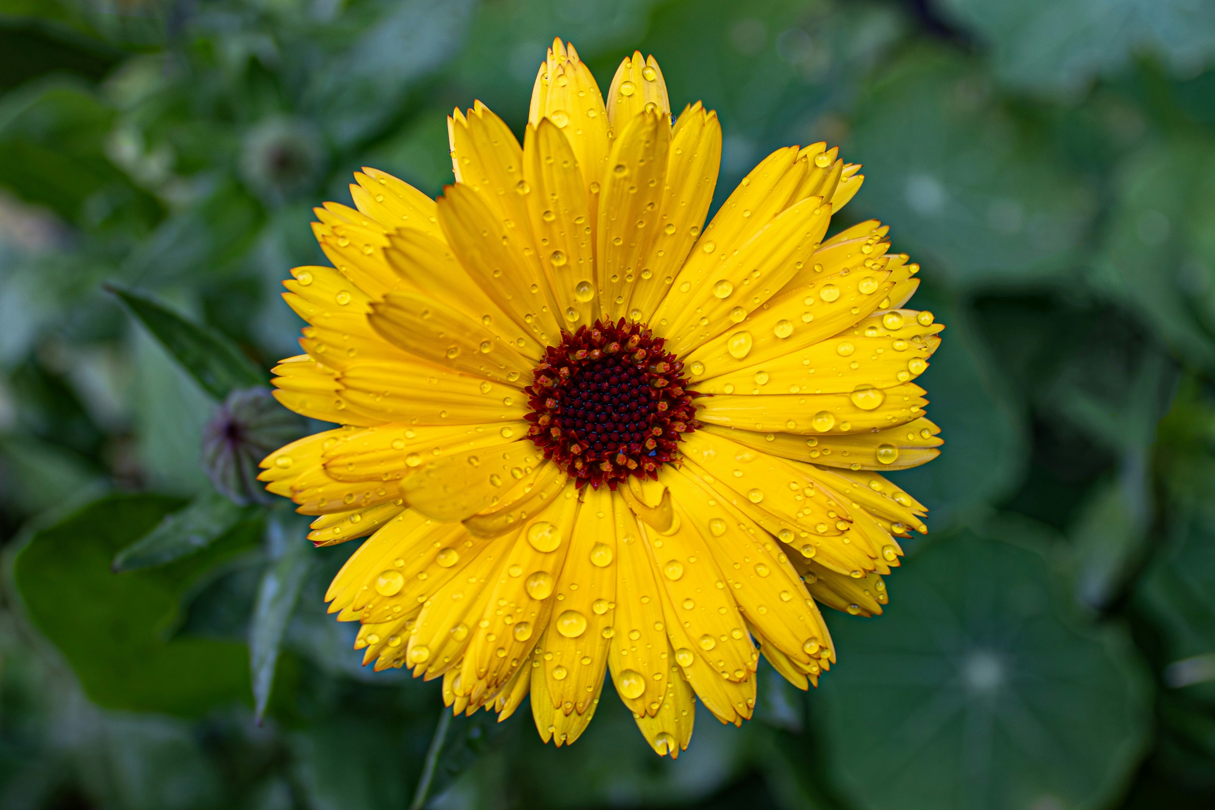 Photo by peterbbryan