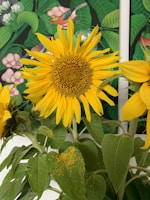 A bright drawing of a sunny day with flowers and butterflies.