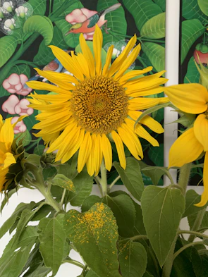 A bright digital illustration of sunflowers with rich yellow petals.