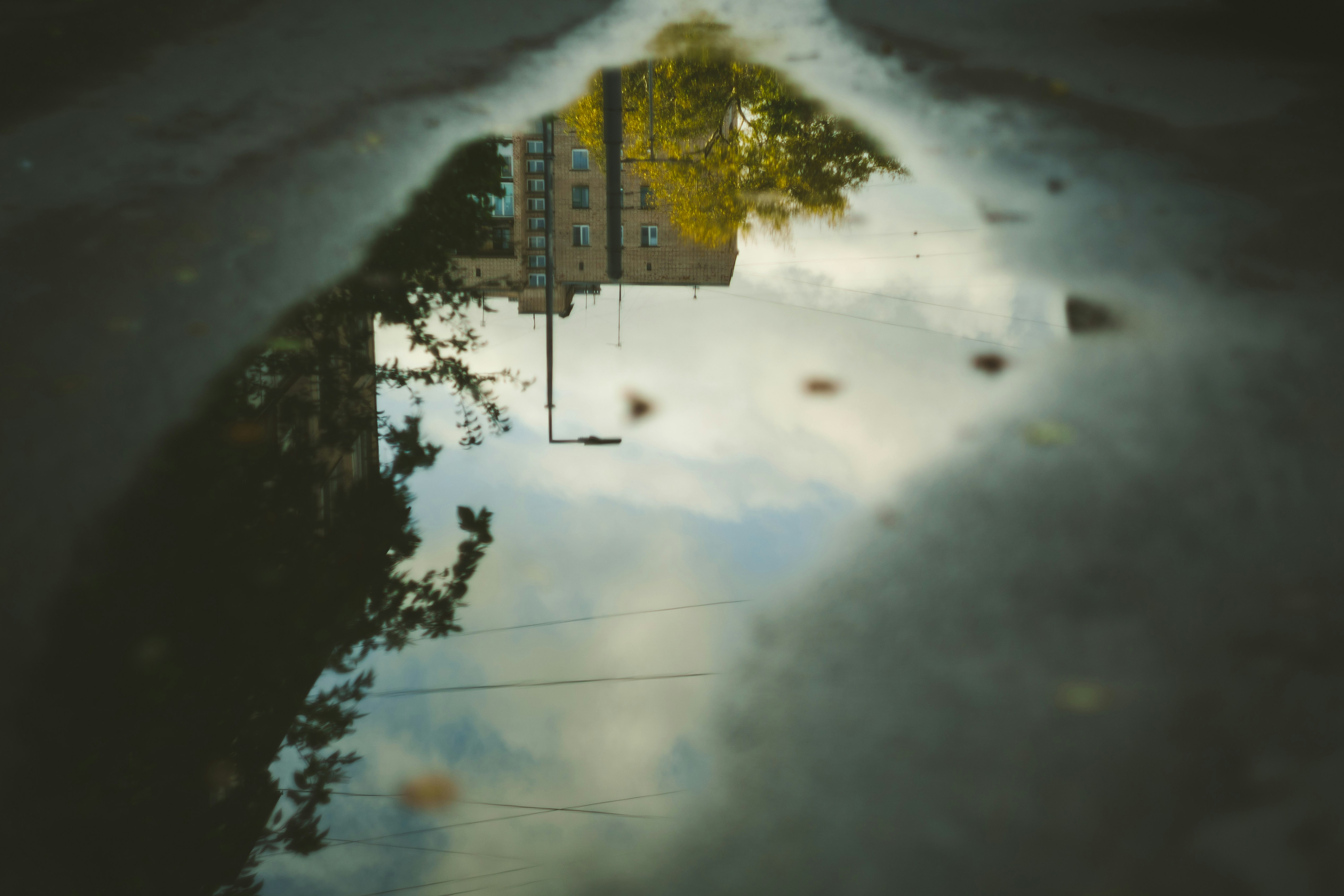 Photo by mirrors_are_more_fun