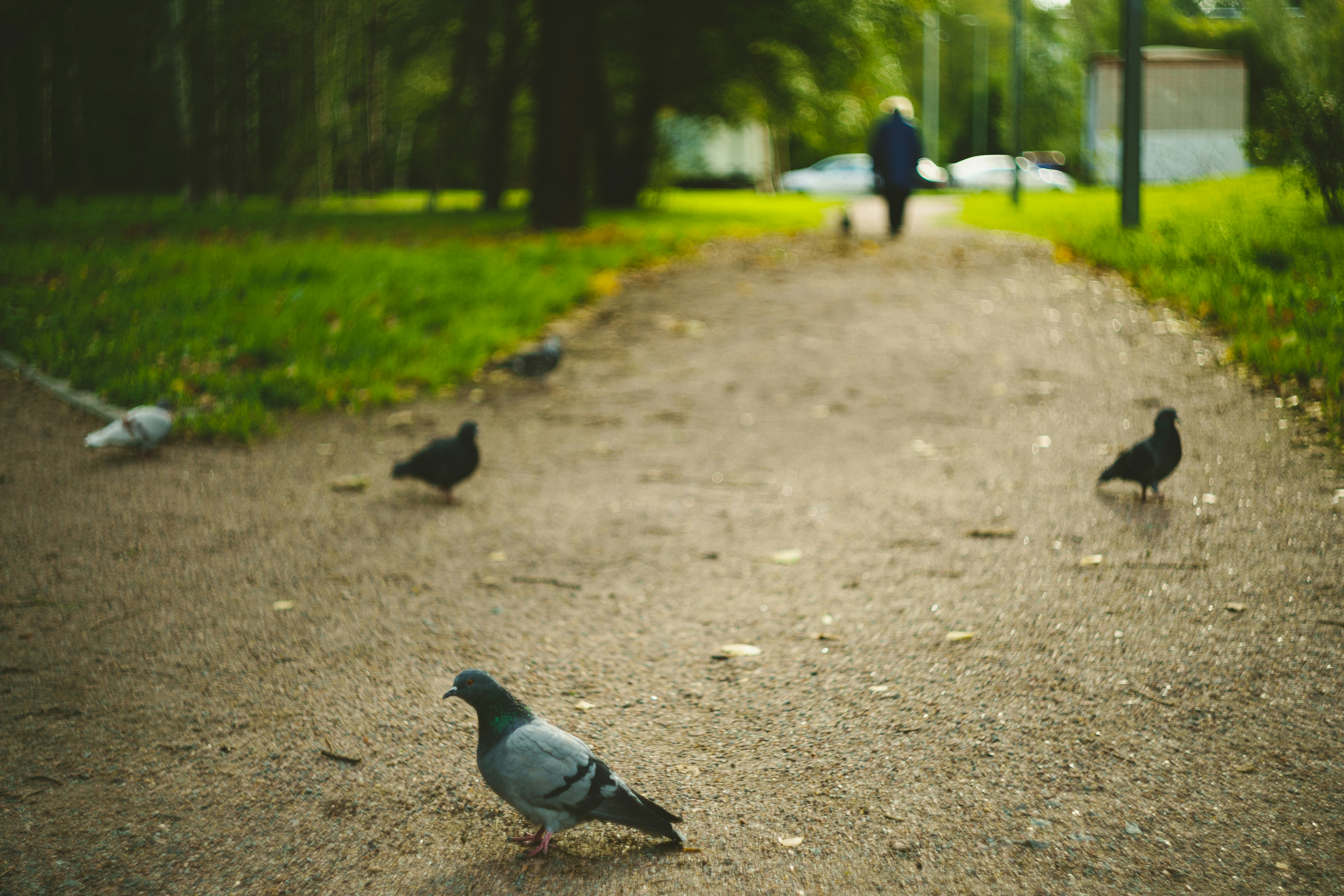 Photo by mirrors_are_more_fun