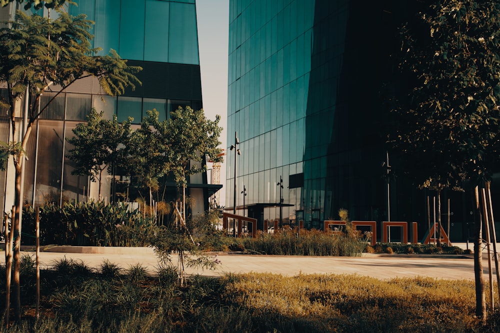 a building with a lot of windows next to some trees