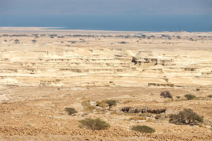 Understanding the Unique Features of Desert Soil