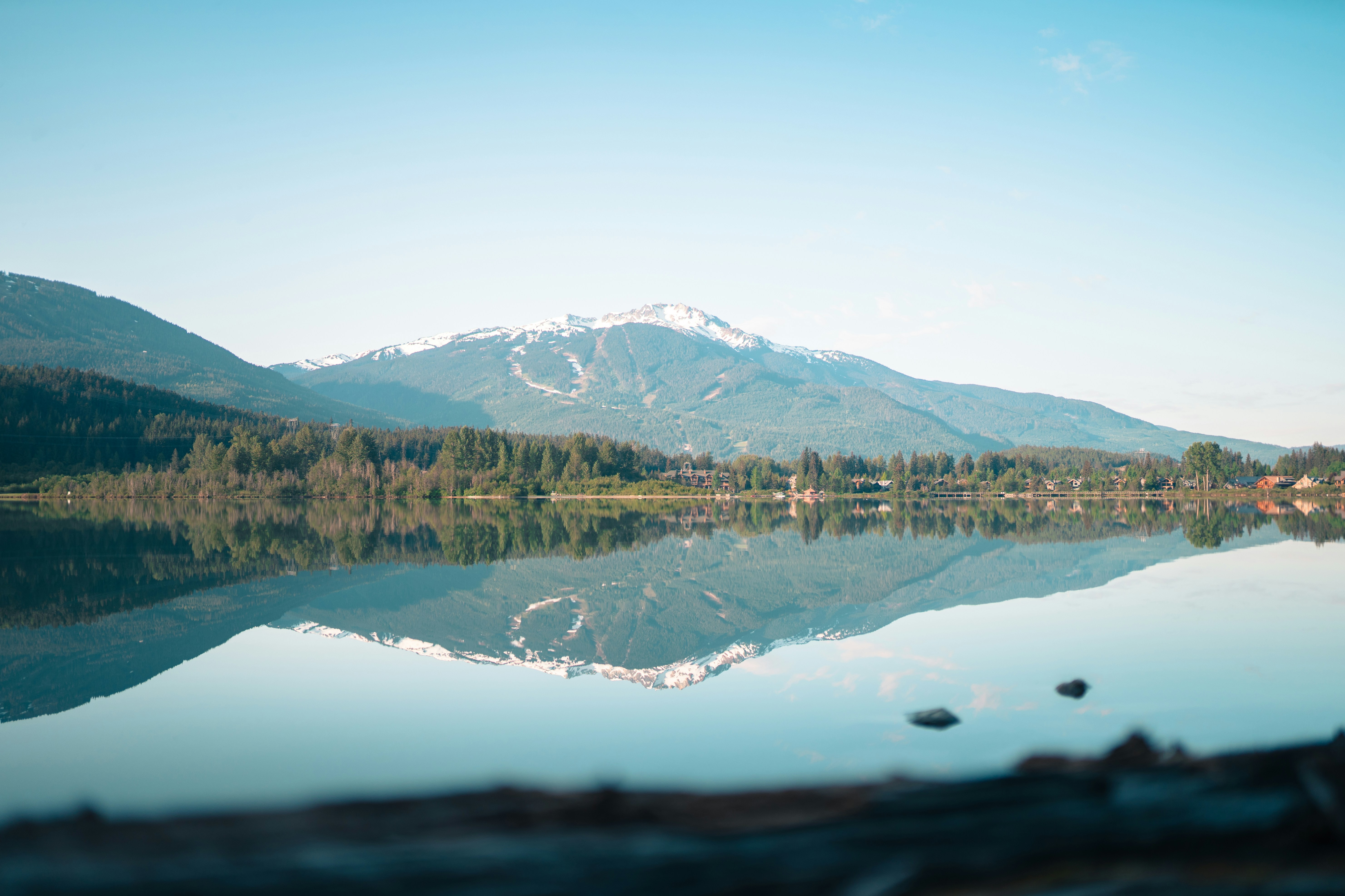 Photo by stuartdavies