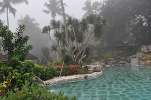 View of the private pool surrounded by lush gardens and lanterns.