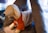 A plush dog mannequin dressed in a small orange and white shirt sits on a soft gray cushion in a cozy setting. The background is softly blurred, suggesting an indoor environment.