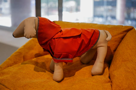 a stuffed dog wearing a red jacket on a couch